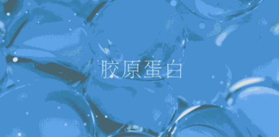 胶原蛋白肽 (4).png