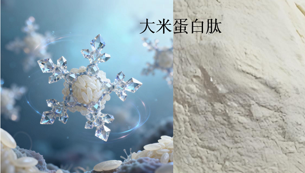 大米蛋白肽.png