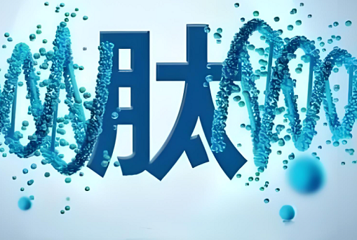 活性肽.png 活性肽.png