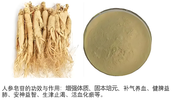 人参皂苷的作用.png 人参皂苷的作用.png