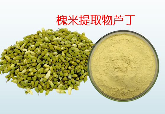 槐米提取物芦丁.png 槐米提取物芦丁.png