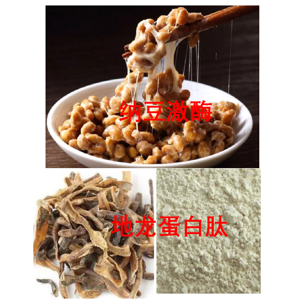 纳豆地龙蛋白肽.png 纳豆地龙蛋白肽.png